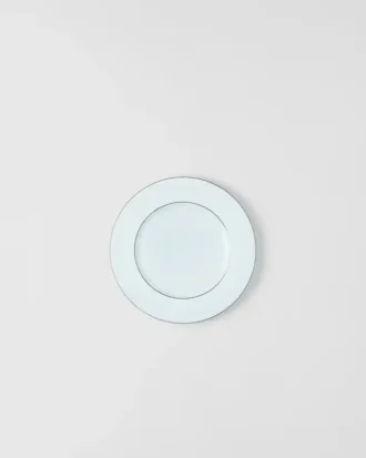 磁器製ディナープレート2枚セット – セラドン